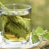 PLANTE MEDICINALE Descoperă puterea ceaiului de urzici în sprijinirea sănătății