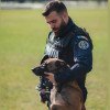 POSTRURI POLIȚIE Poliția Română scoate la concurs 60 de posturi de agent de poliție (și conductor câini)