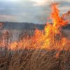 RESTURI VEGETALE GAEC 10 instituie interdicţia de a incendia păşunile, pentru a nu pierde subvenţia