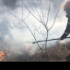 Cluj: Incendiu de vegetație în apropierea localității Mărișel! Pompierii au intervenit