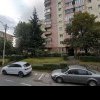 Mesaje savuroase la un bloc din Cluj! Cum se amenință vecinii cu slujbe: „Care ai luat ghiveciul, să-l aduci înapoi” - FOTO