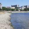 Plaja Grigorescu a ajuns o ,,toaletă canină”, reclamă clujenii. Oamenii susțin că organele competente lipsesc cu desăvârșire din zonă