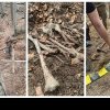 Alte schelete ale unor militari din Primul Război Mondial descoperite la Dofteana