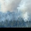 Intervenție pentru stingere unui incendiu de fond forestier – VIDEO