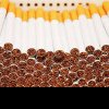 Operațiunea anti-contrabandă dezvăluie rețea de producție și comercializare de țigări contrafăcute în Bacău