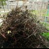 Primăria Săucești anunță o schimbare importantă în colectarea deșeurilor pentru toți locuitorii din cele 5 sate ale comunei