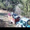 VIDEO: Lucrătorii forestieri de la Livezi au ecologizat o groapa de gunoi ilegala amplasată în inima pădurii