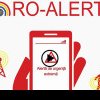 Mesaj RO-Alert în Snagov și Ciolpani. Un urs se află în zonă