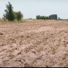 Ministrul Mediului, Apelor şi Pădurilor: „În Sahara Olteniei, pierdem anual 1.000 de hectare de terenuri arabile”