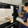 Platforma PartnerVet anunţă preluarea clinicii veterinare Patrupet: Achiziţia marchează primul pas în consolidarea serviciilor medicale veterinare de excelenţă, în România