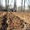 Romsilva va reîmpăduri peste 340 de hectare de fond forestier afectate de calamităţi cu fonduri din PNRR
