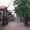 ”Tatuatorul de la Auschwitz”. Filmul e inspirat de o poveste reală