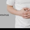 Ce este Norovirusul, agentul patogen care a creat panică la Colegiul „C. D. Loga”. Explicațiile medicilor de la Spitalul „Victor Babeș” Timișoara