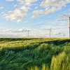 CESE: O industrie eoliană puternică în UE este vitală pentru bunăstarea mediului economic și social