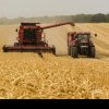 Previziune sumbră pentru fermierii români, în vara 2024: Producătorii de grâu vor vinde în pierdere