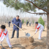 Xi Jinping a participat la o acțiune de plantat arbori, la Beijing