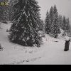 Furtuna Renata a ajuns în România. Zăpada măsoară jumătate de metru la Bâlea Lac. Mare parte din țară e sub alertă de vijelii