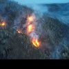 Incendiu devastator în pădurile de la Târgu Ocna și Dofteana. Focul arde de patru zile și s-a întins deja pe 80 de hectare