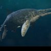 O fetiță de 11 ani a găsit fosilele celei mai mari reptile marine care a existat vreodată. Creatura era lungă cât două autobuze