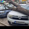 Pagube în Capitală, din cauza vântului puternic. Copaci căzuți peste mașini – FOTO/VIDEO