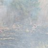 17 incendii de vegetație uscată în județul Suceava într-o săptămână. Pompierii amenință cu amenzi