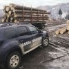 Două firme din Frasin și Vicovu de Sus sancționate de Garda Forestieră pentru ilegalități la transportul de materiale lemnoase