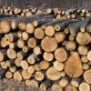 Patru ocoale silvice din județ au la dispoziție aproape 6.500 de metri cubi de lemne de foc pentru populație