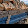 Pedepsit aspru pentru un trasport de 1,55 mc lemn de foc fără acte