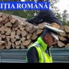 Transport ilegal de lemn interceptat de polițiștii din Marginea pe DN17A la Sucevița