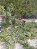 Bilanțul furtunii: Copaci doborâți, stâlpi căzuți, case și mașini avariate în 86 de localități din 27 județe și Capitala