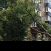 Furtună puternică în județul Mureș: copaci căzuți și acoperișuri asigurate de pompieri