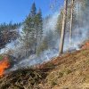 Un nou incendiu de pădure în zona Lăpuşna; primul a fost stins după 24 de ore