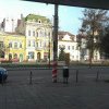 Unde au dispărut coșurile de gunoi din centrul municipiului Târgu Mureș?