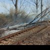 Circulaţie feroviară, oprită din cauza unui copac căzut pe linie și a unui incendiu izbucnit în apropiere