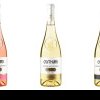 Cramele Cotnari devin destinatie turistică pentru iubitorii de vinuri în cadrul campaniei “Crama Transparentă” (P)