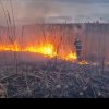 Incendii uriașe de vegetație în Iași. Militarii au apelat la voluntari pentru a face față situației