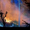 Incendiul de pădure din zona Lăpuşna s-a extins pe circa 40 de hectare din cauza vântului. Forțele de intervenție la fața locului, suplimentate
