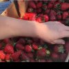 O româncă din Spania, virală pe TikTok. Femeia a dezvăluită că mânăncă și se îmbracă de la gunoi! VIDEO