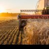 Afaceri agricole profitabile: De la idee la realitate