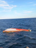 Barcă răsturnată în Marea Neagră, la Tuzla. Echipajele de salvare nu au găsit în zonă nicio persoană