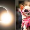 Cele mai spectaculoase 13 imagini cu eclipsa totală de Soare care a fost vizibilă în America de Nord