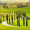 Curiozităţi despre Toscana