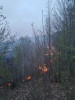 Incendiu de vegetație pe 50 de hectare, în comuna Șoimari din Prahova. Vântul îngreunează misiunea pompierilor