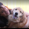 O femeie a cerut custodia câinelui ei după divorț, în Canada, după ce Stella fusese luată de fostul soț. Ce a decis instanța