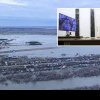 Primărița unui oraș rus lovit de inundații a demisionat la trei zile după ce Vladimir Putin a întrebat într-o video conferință: „Unde e primarul din Kurgan?”
