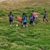 Primarul a tuns gazonul, după ce imaginile cu jucătorii care aleargă prin iarba până la genunchi într-un meci de Cupă din Peru au făcut înconjurul lumii | VIDEO