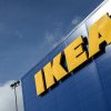 Raport Greenpeace: IKEA face mobilă cu lemn din ultimele păduri seculare ale României