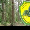 Direcția Silvică Neamț anunță organizarea unei licitații pentru vânzarea de masă lemnoasă provenită din fond forestier proprietate publica de stat pentru producţia anului 2024