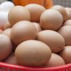 De ce sunt ouăle încă scumpe în Europa?