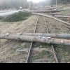 FOTO Calea ferată îngustă din Valea Zânelor, distrusă de exploatarea lemnului în zonă. Primăria Covasna a depus plângere penală